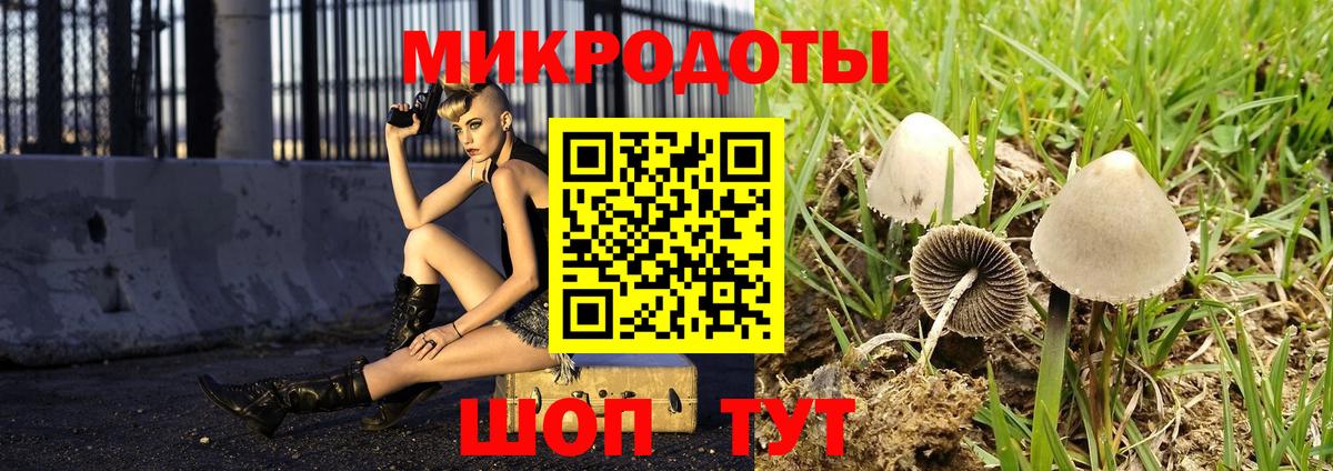 Кингисепп  Галлюциногенные грибы мухоморы  Псилоцибиновые грибы прущие грибы  Вход с VPN 
